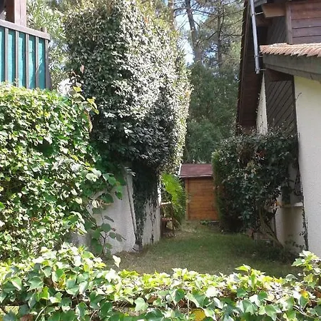 Maison Du Huchet Entre Ocean - Foret, Vue Golf Prázdninový dům Moliets-et-Maa